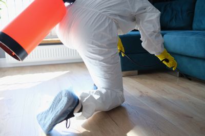 Roach Fumigation in Coeur D Alene, ID