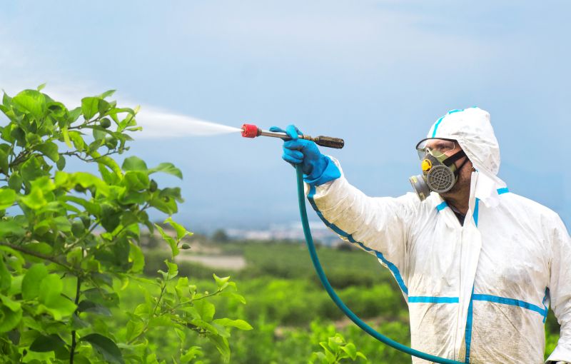 Spider Fumigation Service in Kalamazoo, MI