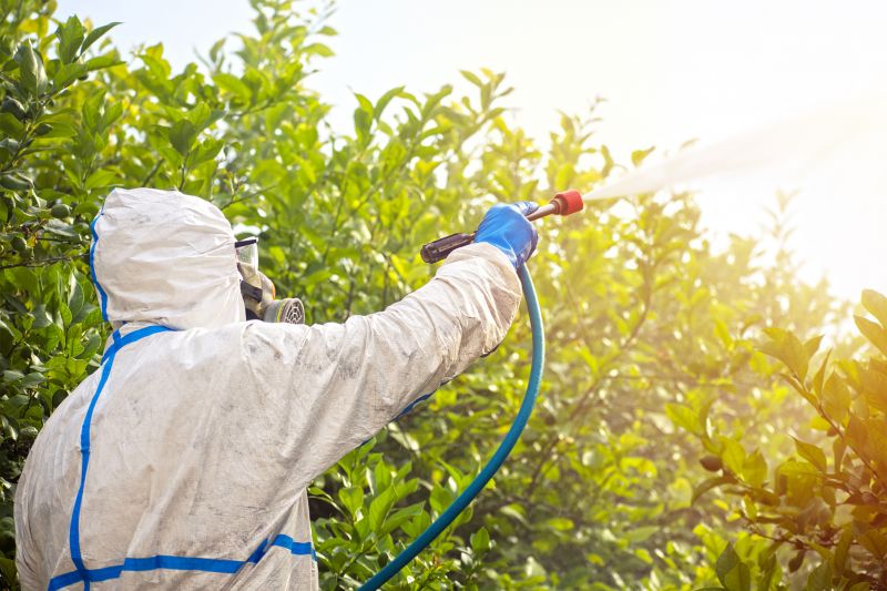 Spider Fumigation Service in Wilmington, DE