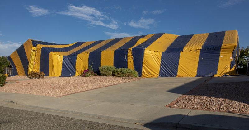 Tent Fumigation in Madison, WI